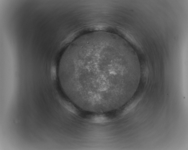 X0000112010262200908101348