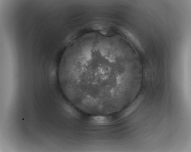 X0000112010265200908101348