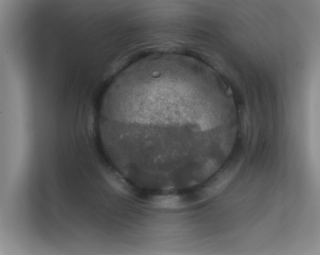 X0000112010266200908101348