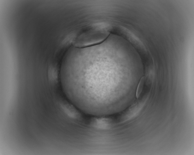 X0000112010268200908101348