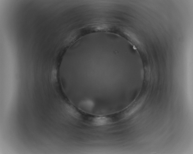 X0000112010269200908101348