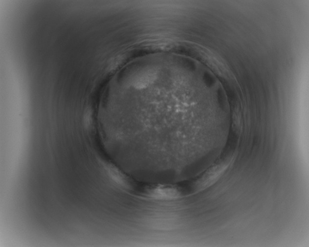 X0000112010270200908101348