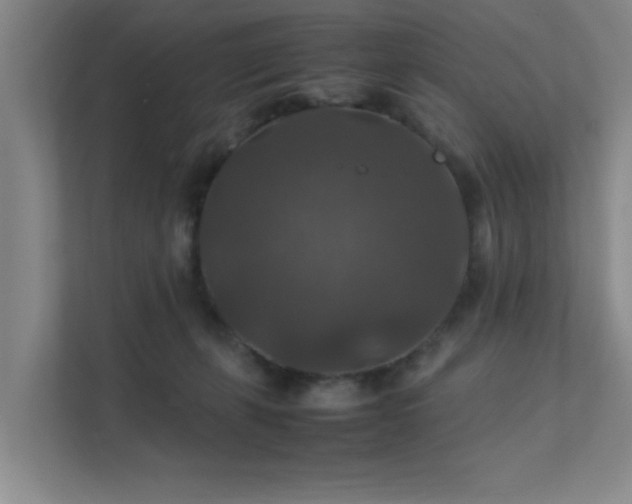 X0000112010271200908101348