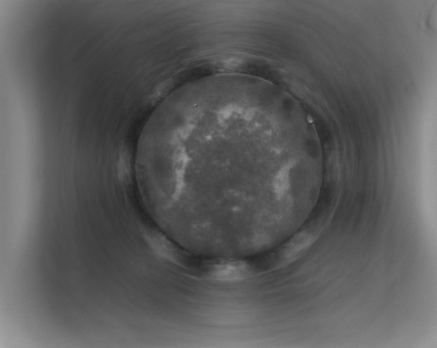 X0000112010274200908101348