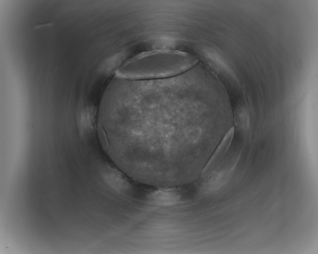 X0000112010280200908101348