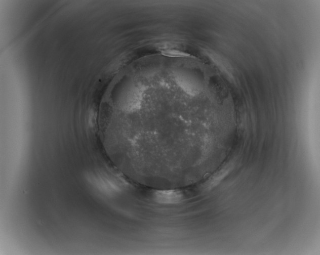 X0000112010281200908101348