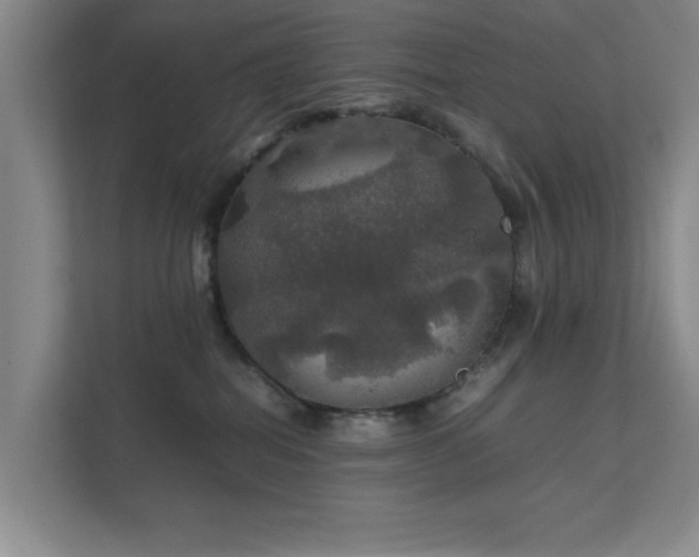 X0000112010282200908101348