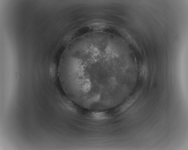 X0000112010283200908101348