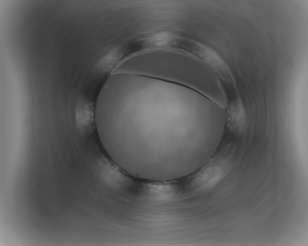 X0000112010284200908101348