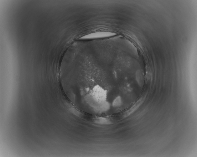 X0000112010285200908101348