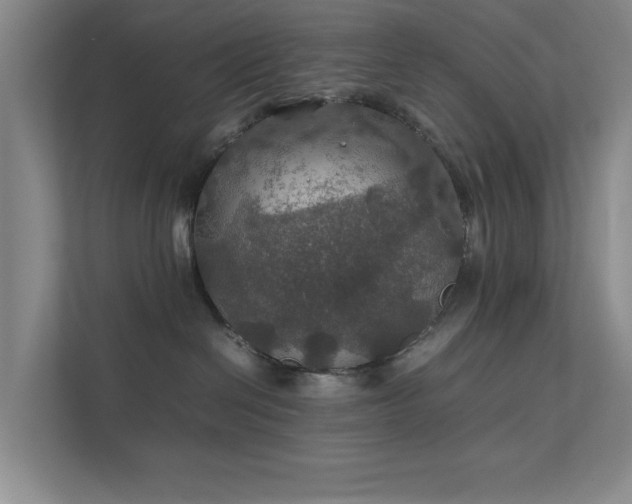 X0000112010286200908101348