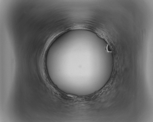 X0000112010289200908101347