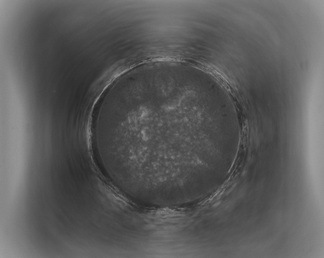 X0000112010290200908101347