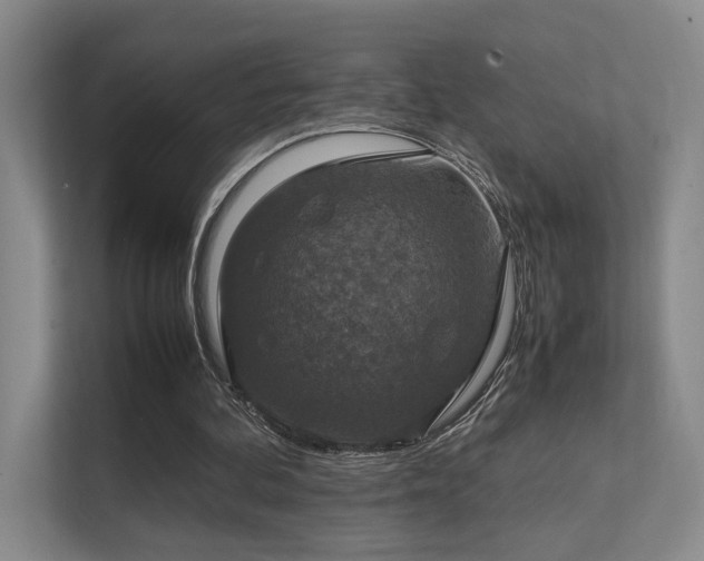 X0000112010292200908101347