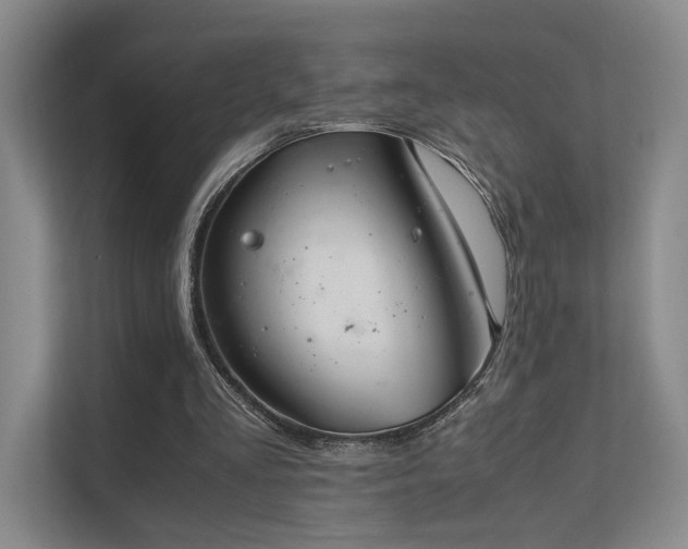 X0000112010293200908101347