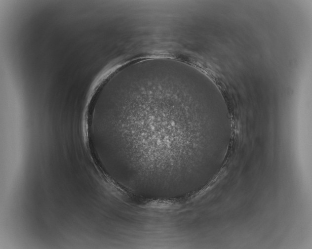 X0000112010294200908101347