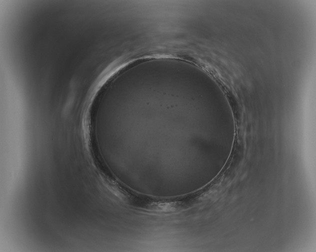 X0000112010295200908101347