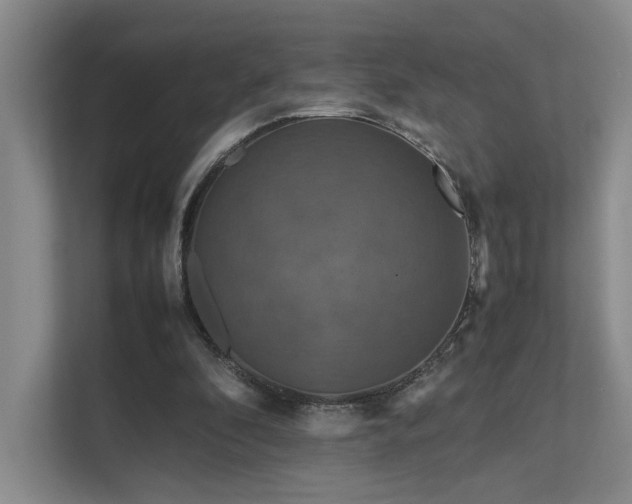 X0000112010296200908101347