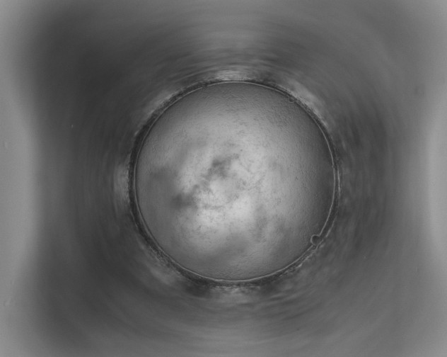 X0000112010297200908101347