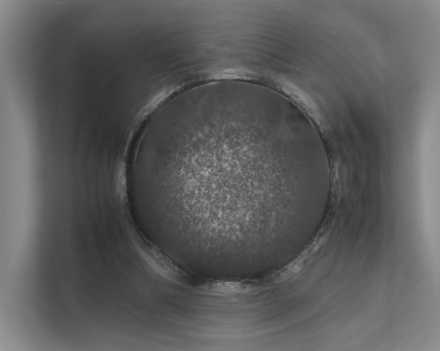 X0000112010298200908101347