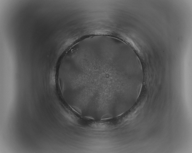 X0000112010299200908101347