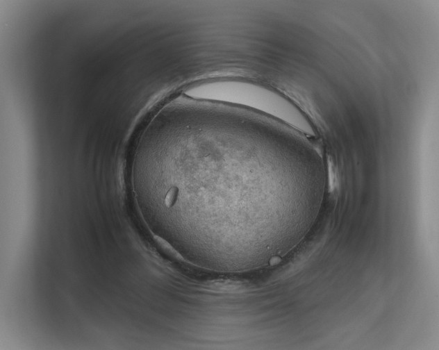 X0000112010300200908101347