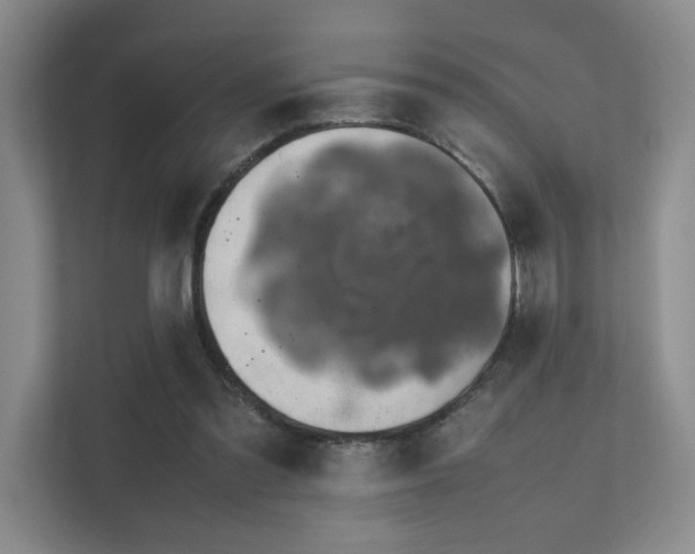 X0000112010301200908101347