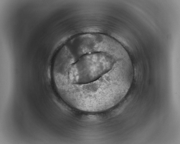 X0000112010302200908101347