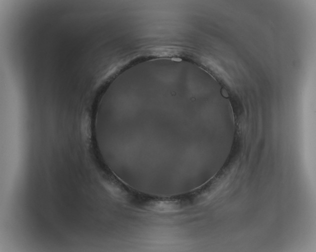 X0000112010303200908101347