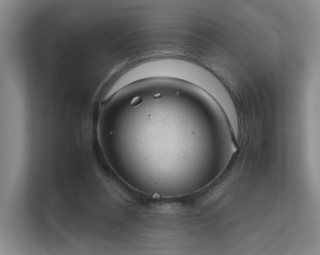 X0000112010304200908101347