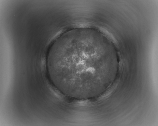 X0000112010306200908101347