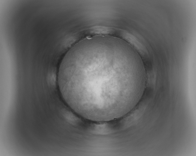 X0000112010309200908101347