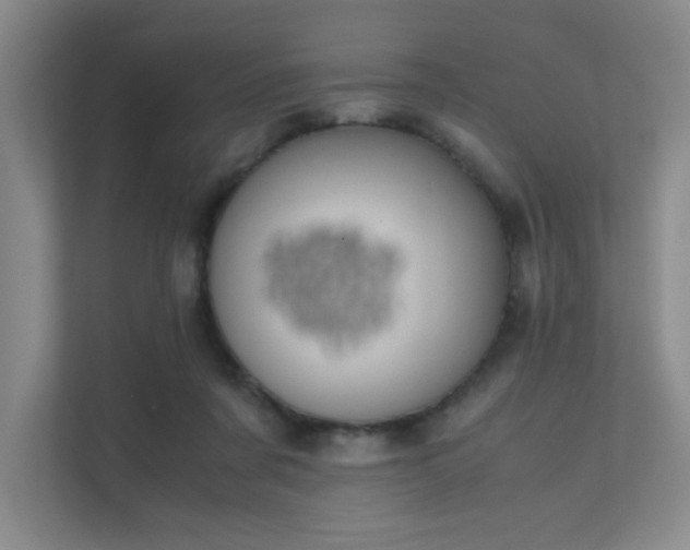 X0000112010311200908101347