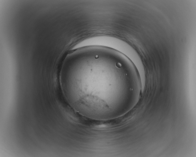 X0000112010312200908101347