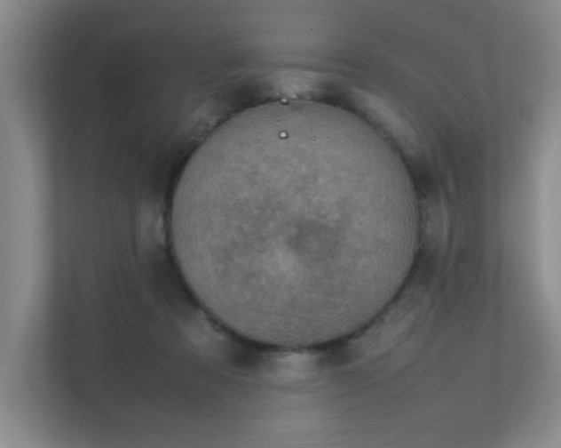 X0000112010313200908101347