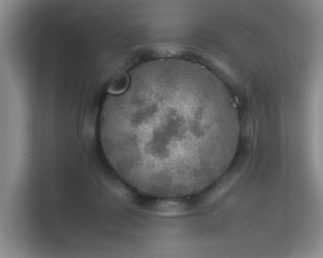 X0000112010315200908101347