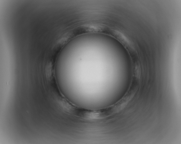 X0000112010318200908101347