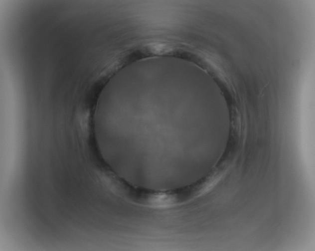 X0000112010319200908101347