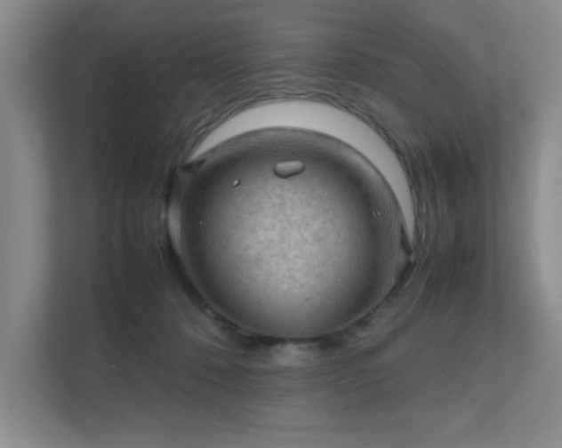 X0000112010320200908101347