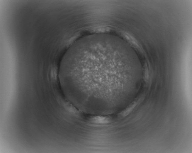 X0000112010326200908101347