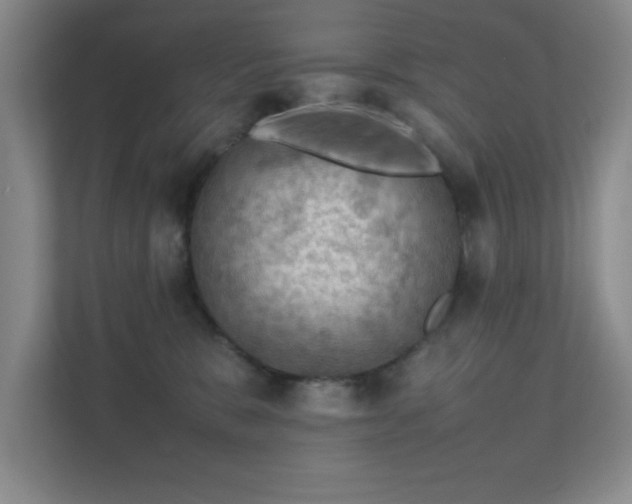 X0000112010327200908101347