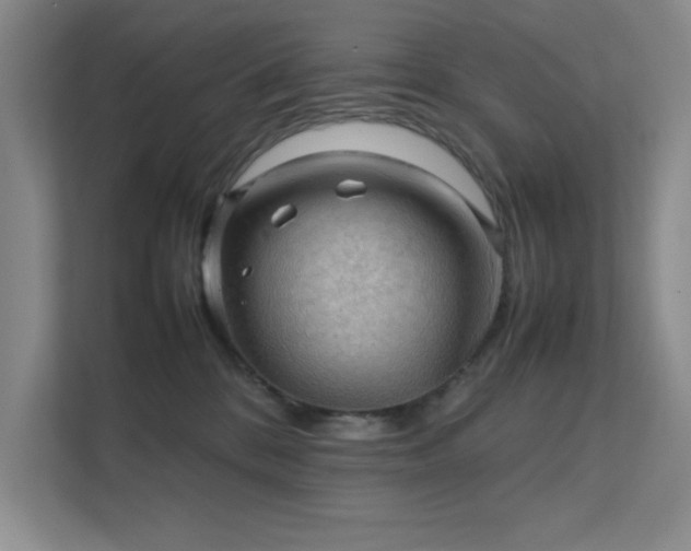 X0000112010328200908101347