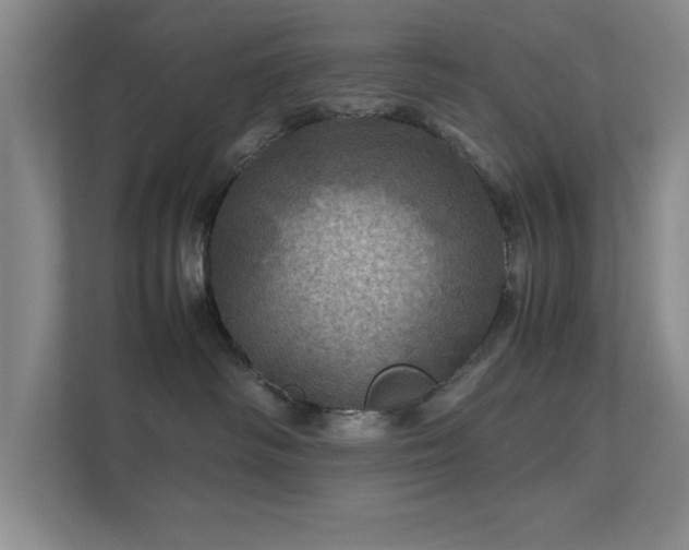 X0000112010334200908101347