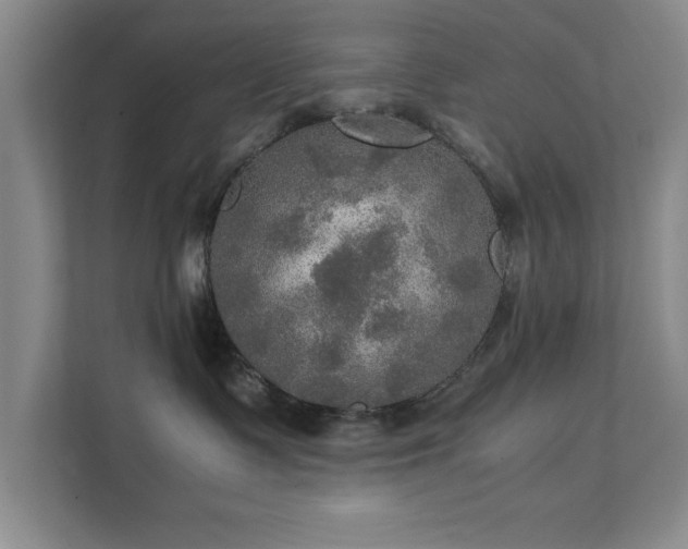 X0000112010335200908101347