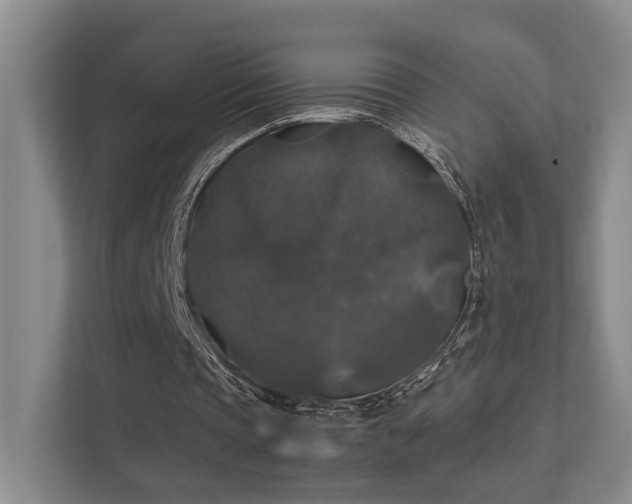 X0000112010337200908101346