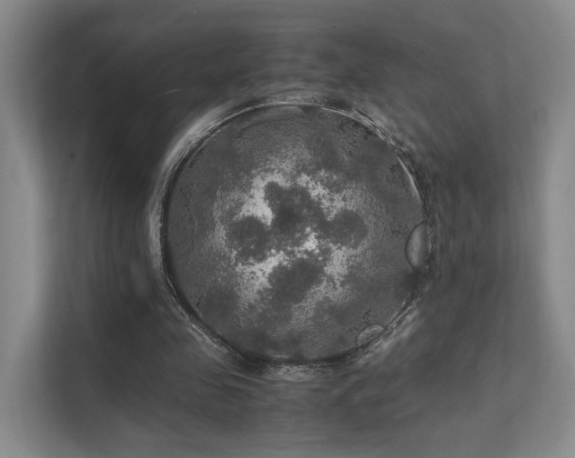 X0000112010341200908101346