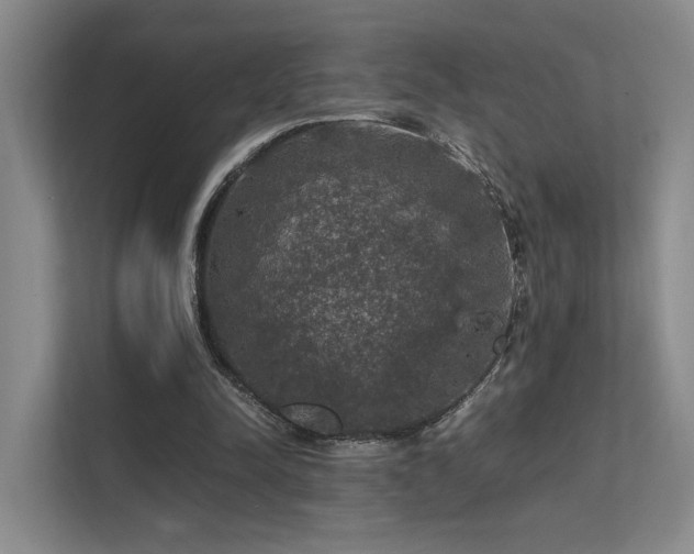 X0000112010342200908101346