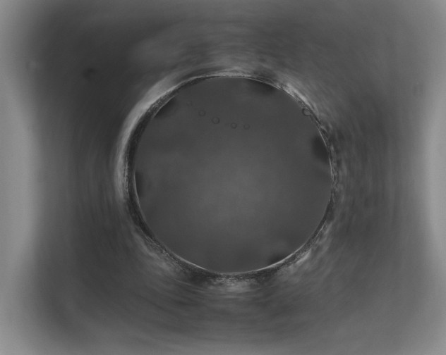 X0000112010343200908101346