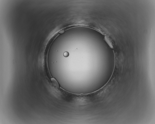 X0000112010344200908101346