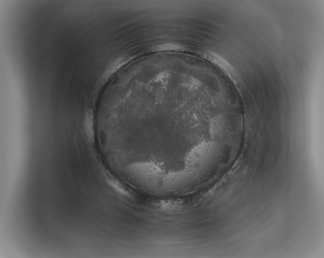 X0000112010345200908101346